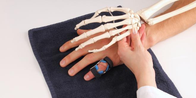 Skelett und menschliche Hand