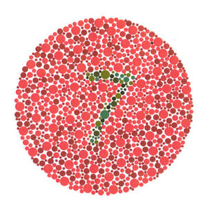 abnehmen online test