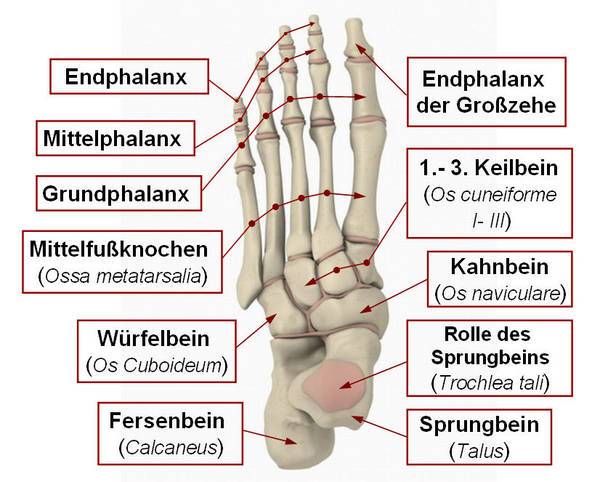 Otslojenije des Nagels von der Platte die Behandlung
