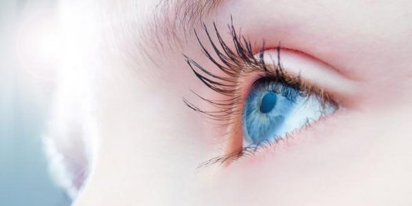 Abbildung der Papille im Auge