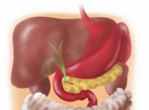 Test Hepatitis Hauptbild