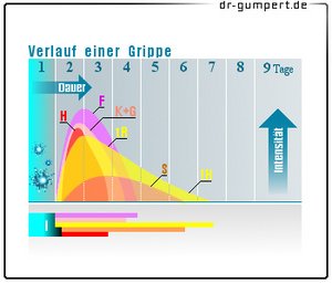 Abbildung Verlauf einer Grippe