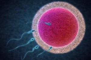 Ziehen In Der Brust Wahrend Der Schwangerschaft