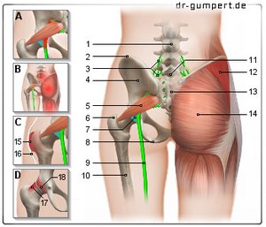 Abbildung Schmerzen an der Gesäßbacke