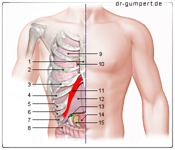 Rechts bauch stechen im Oberbauchschmerzen