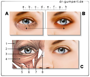 Creme Gegen Augenringe