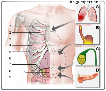 Schematische Darstellung von Brustschmerzen rechts