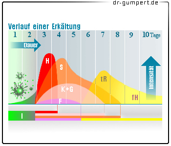 Abbildung Verlauf einer Erkältung