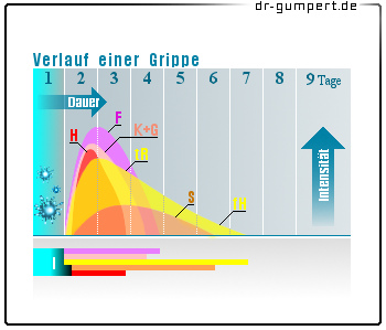 Abbildung Verlauf einer Grippe