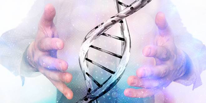 Chromosomensatz DNA Chromosomen