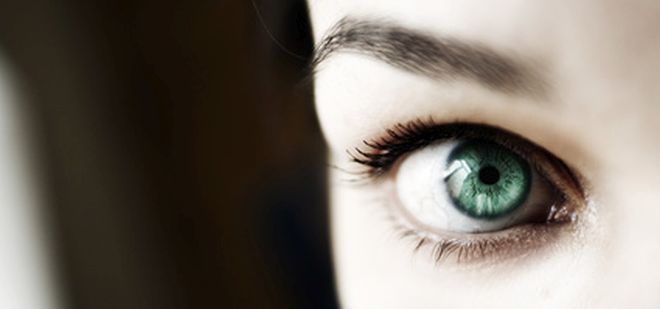 Darstellung der Augenmuskeln im Auge