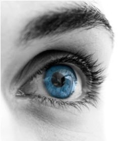 Retina Darstellung der Retina im Auge