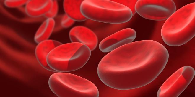 Rote Blutkörperchen im Blut