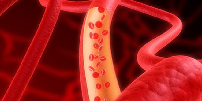 Erythrozyten als Bestandteil des Blutes