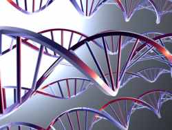 DNA