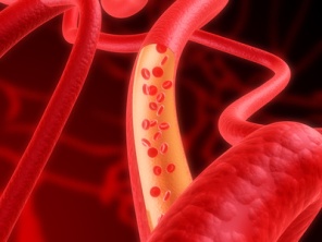 Sauerstoff durch Arterien