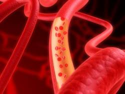 Arterien transportieren sauerstoffreiches Blut