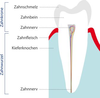 Zahn