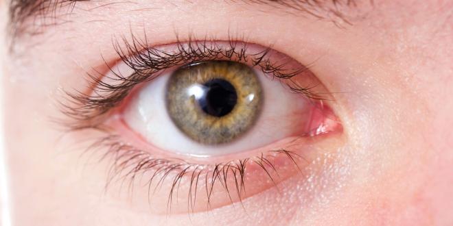 Talgdruse Am Auge Anatomie Funktion Und Erkrankungen