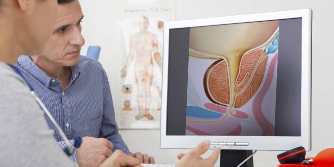 Betrachtung der Anatomie der Prostata durch Arzt und Patient