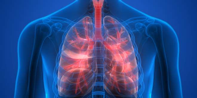 Lungenanimationsbild