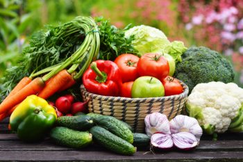 Abnehmen ohne Sport - Ernährung