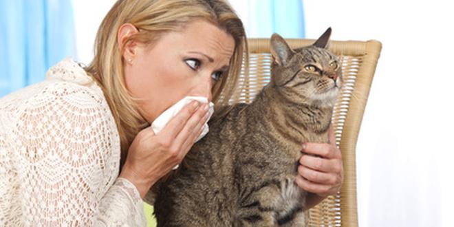 Allergien gegen Haustiere sind leider keine Seltenheit.