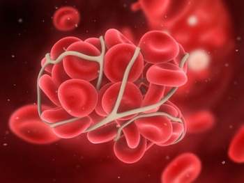 blutbild_definition erythrozyten: blutbild