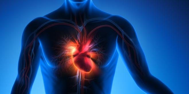 Ursachen einer Herzmuskelentzündung