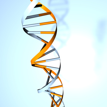 DNA des Menschen