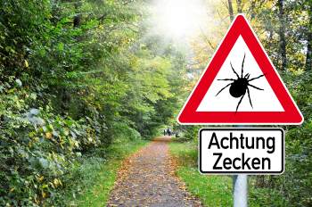 Borreliose Test Zecke auf Schild