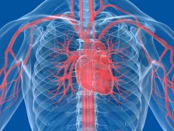 Herzschwäche EKG Herzschwäche EKG