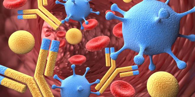Immunsystem