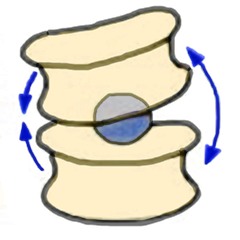 Abbildung Beweglichkeit Wirbelsäule