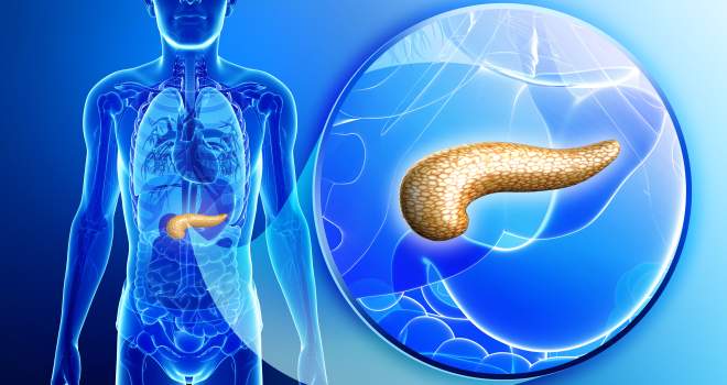 Anatomie der Bauchspeicheldrüse