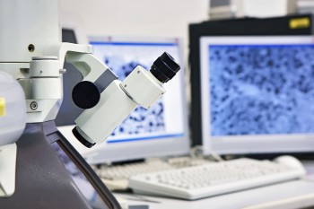 Diagnostik des Gebärmutterkrebses