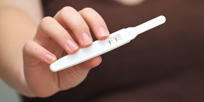 Zervixschleim vor nmt wenn schwanger