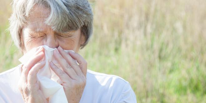 Allergie und Heiserkeit