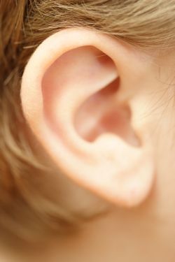 Wie gribok der Nägel flukonasol zu behandeln