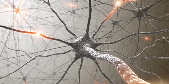 Das Parkinson-Syndrom Parkinson-Syndrom