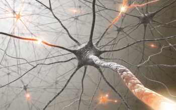 Polyneuropathie Symptome