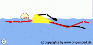 Kraulschwimmen Kraulschwimmen