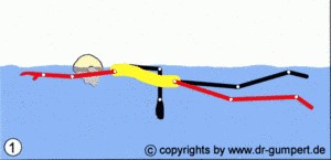 Kraulschwimmen Kraulschwimmen