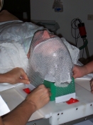 Kopfmaske für Bestrahlung Kopfmaske für Bestrahlung