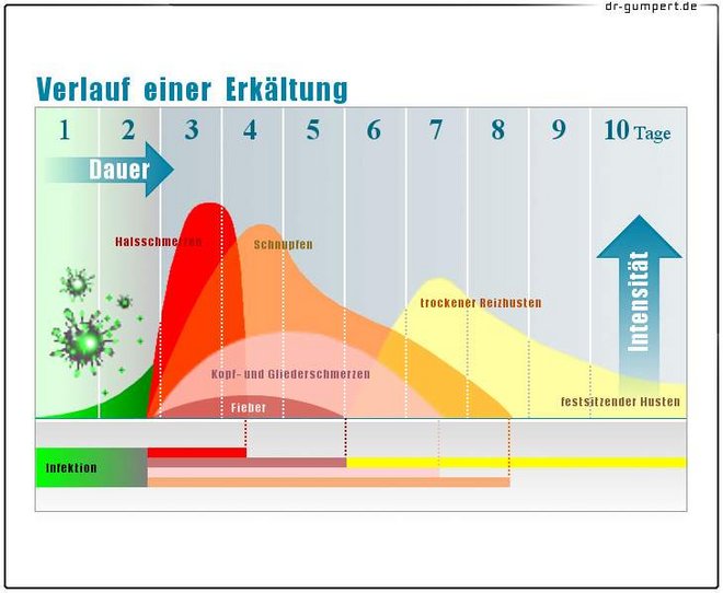 Schaubild Verlauf einer Erkältung Verlauf einer Erkältung