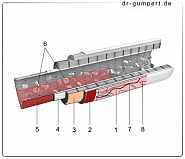 Abbildung Arterie