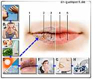 trockene Lippen