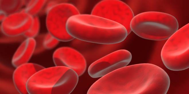 Bluttransfusion