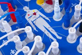 EKG (Elektrokardiogramm)