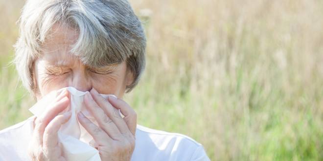 Allergie Allergie
